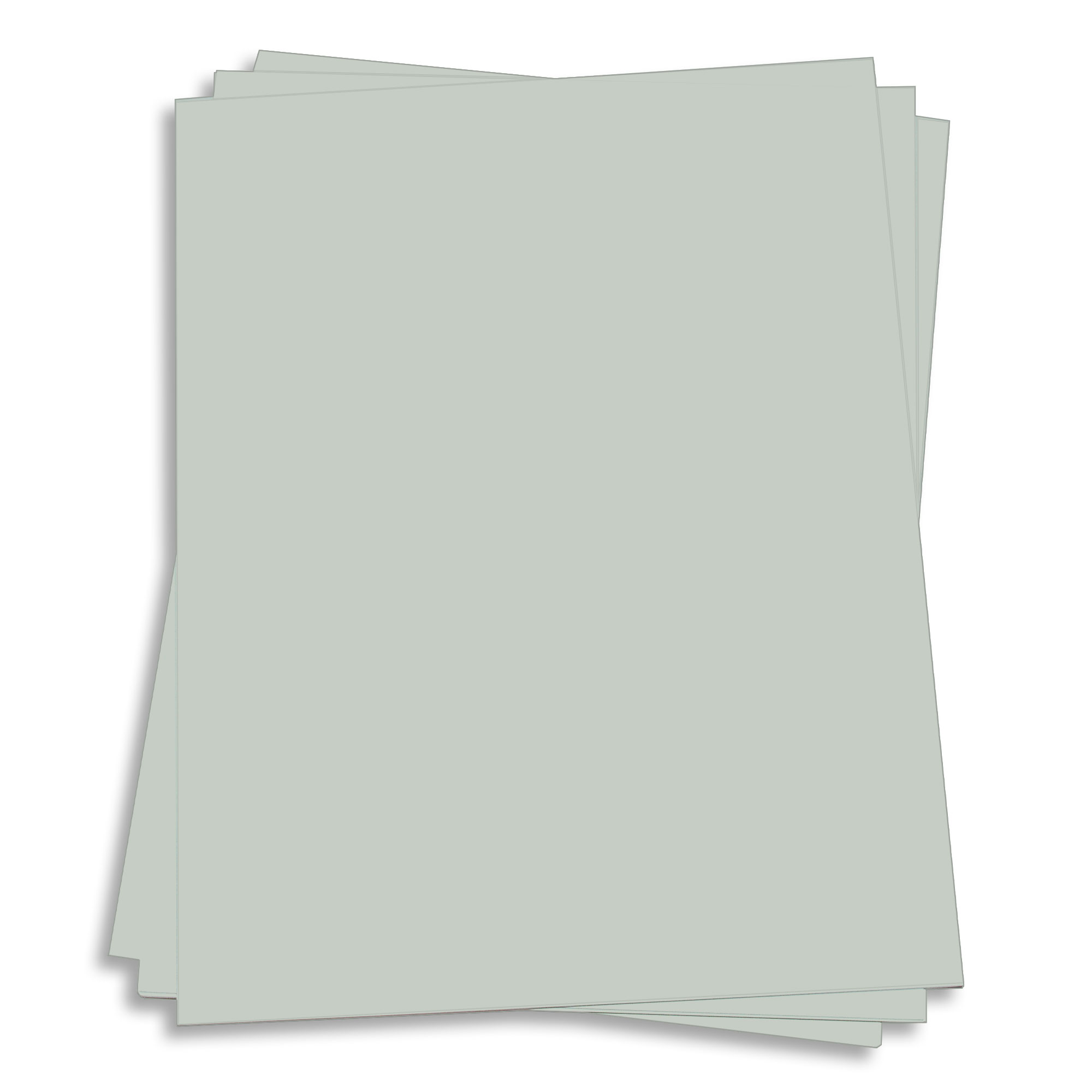 Rain Grey Card Stock - 27 x 39 Gmund Colors Matt 111lb Cover