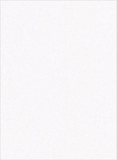 Fluorescent White Flat Card - A7.5 Gmund Colors Metallic 5 3/8 x 7 1/4 96C
