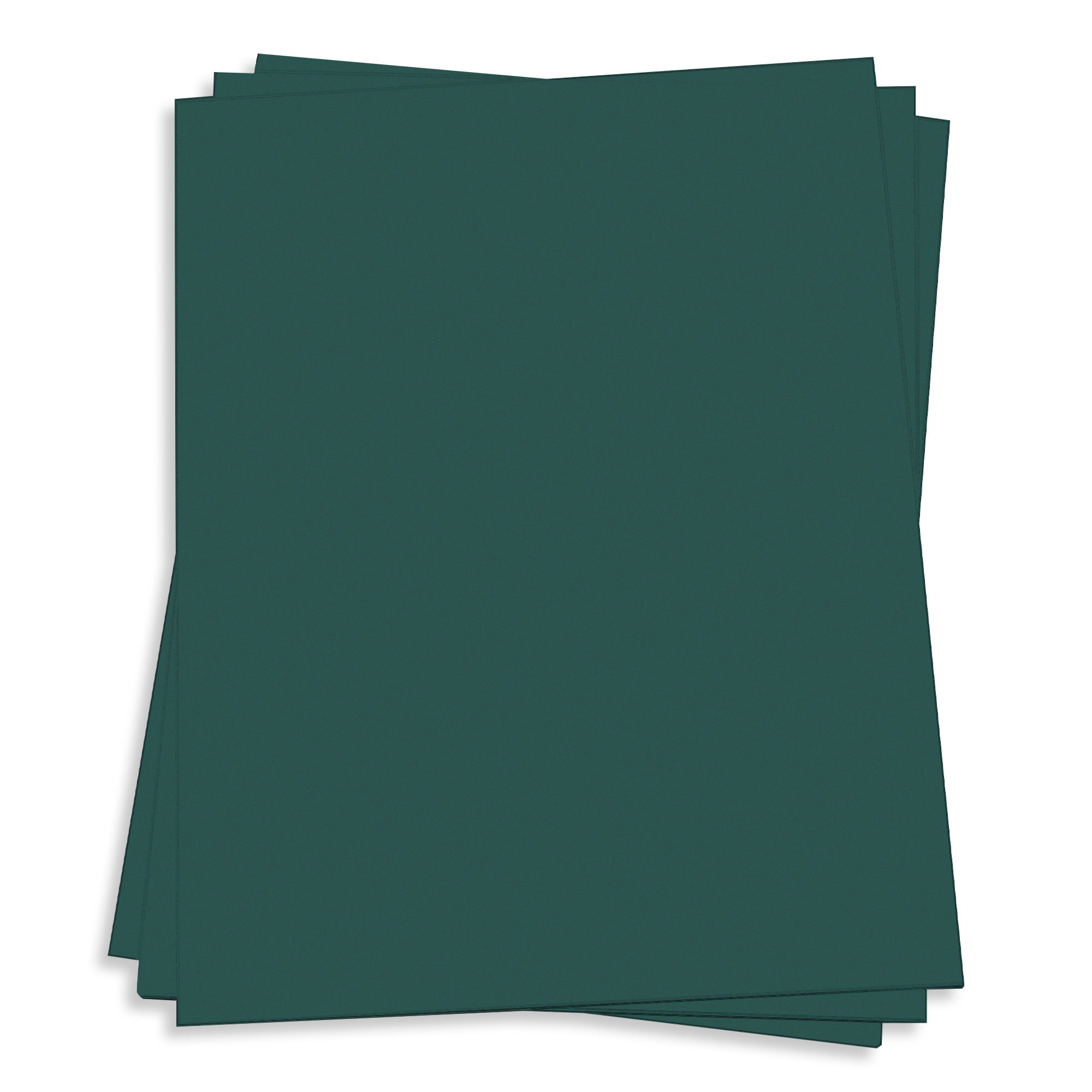 Recycled Dark Green Card Stock - 12 x 12 Gmund Used (8) 111lb Cover