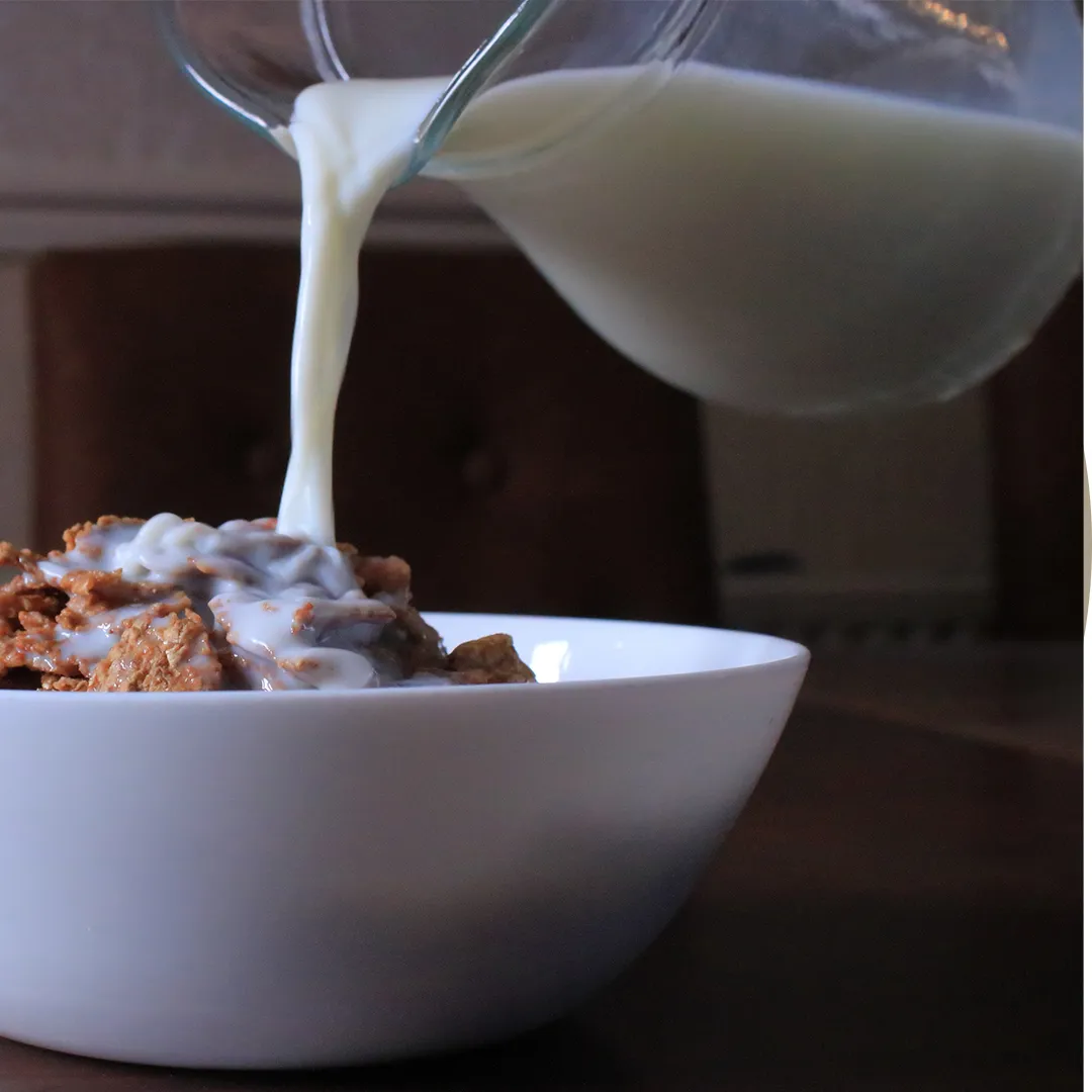 Whey & Casein: The Two Dairy Proteins