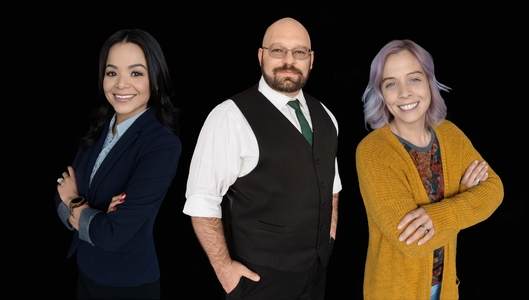 Professional Tax Advisors