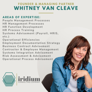 Iridium Consulting Company