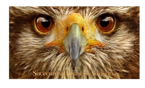 Dan Smith: Succentrix Business Advisors