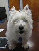 BAJones, CPA