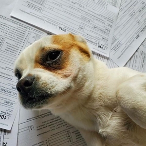 Professional Public Accountants LLC