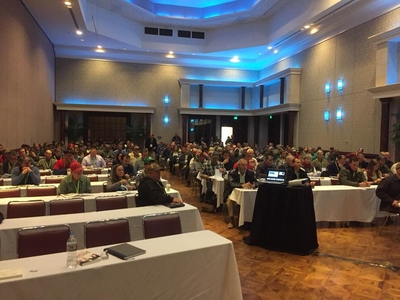 Ignite Business Advisors
