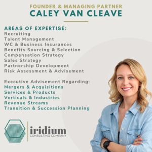 Iridium Consulting Company