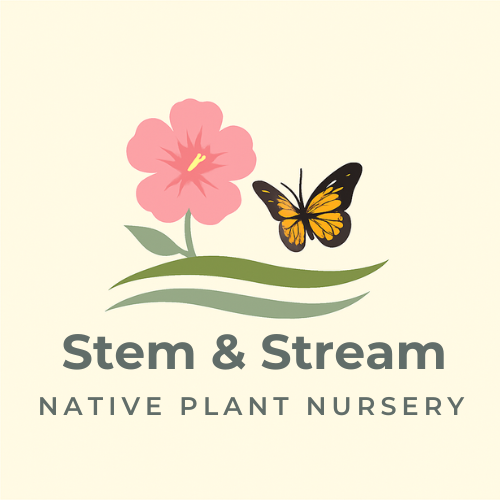 Stem & Stream Logo
