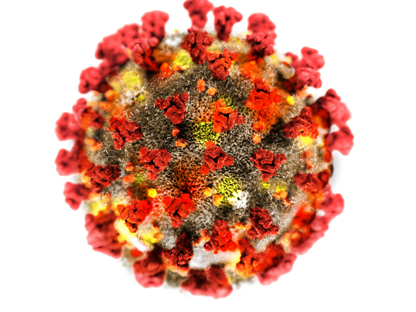 Coronavirus i Stock 1203594225