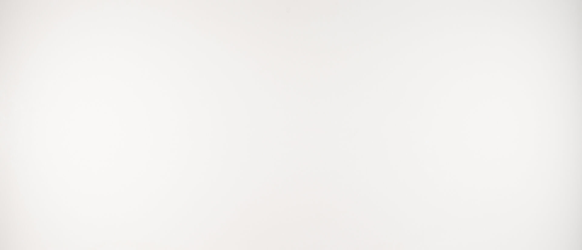 Arctic White