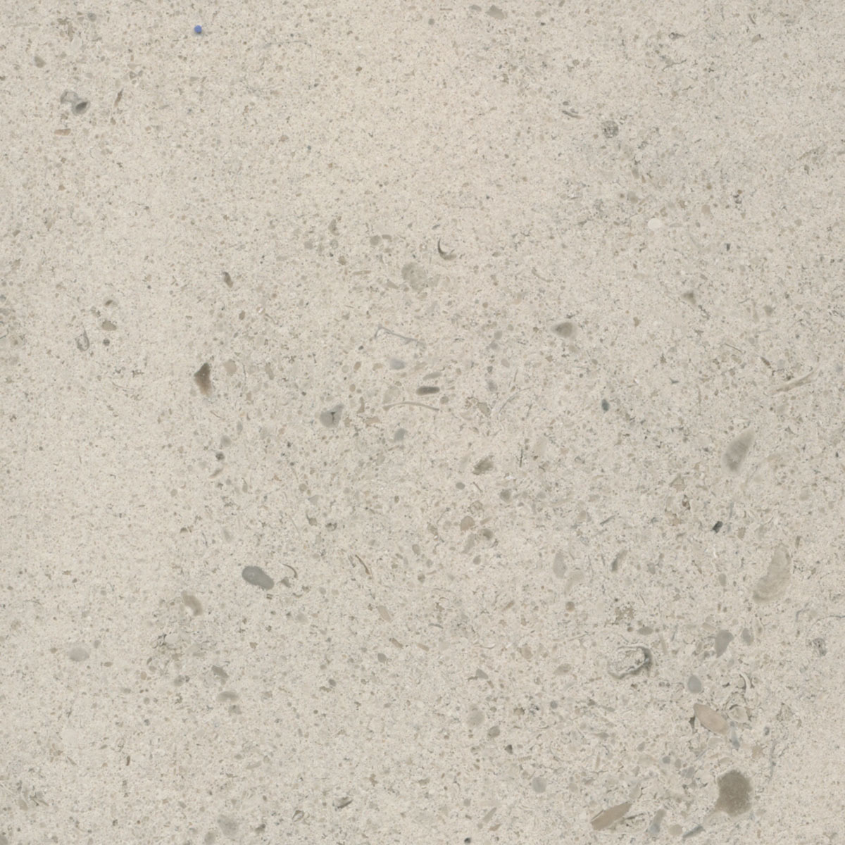 Gascogne Beige Honed