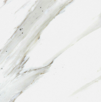 Calacatta Gold Honed
