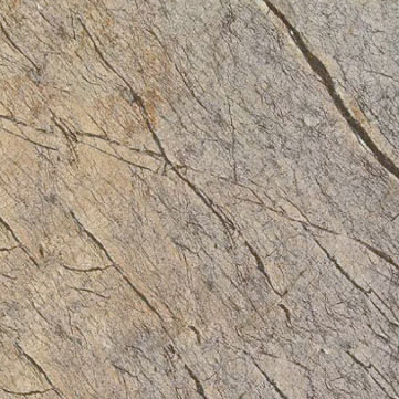 Rain Forest Brown