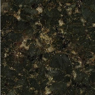 Labrador Gold Flamed