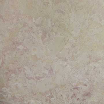 Cambrian Rose