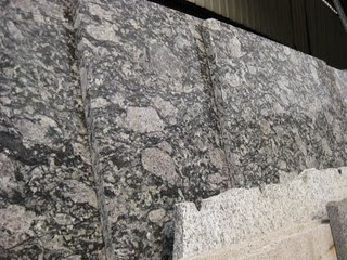 Oyster Pearl