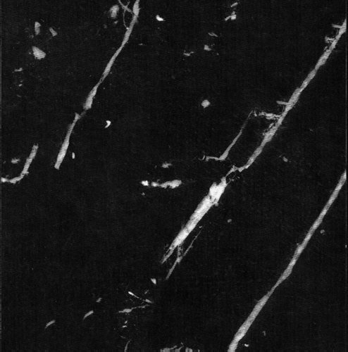 Negro Marquina- Less Veins