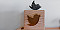 How to Gain Followers on Twitter