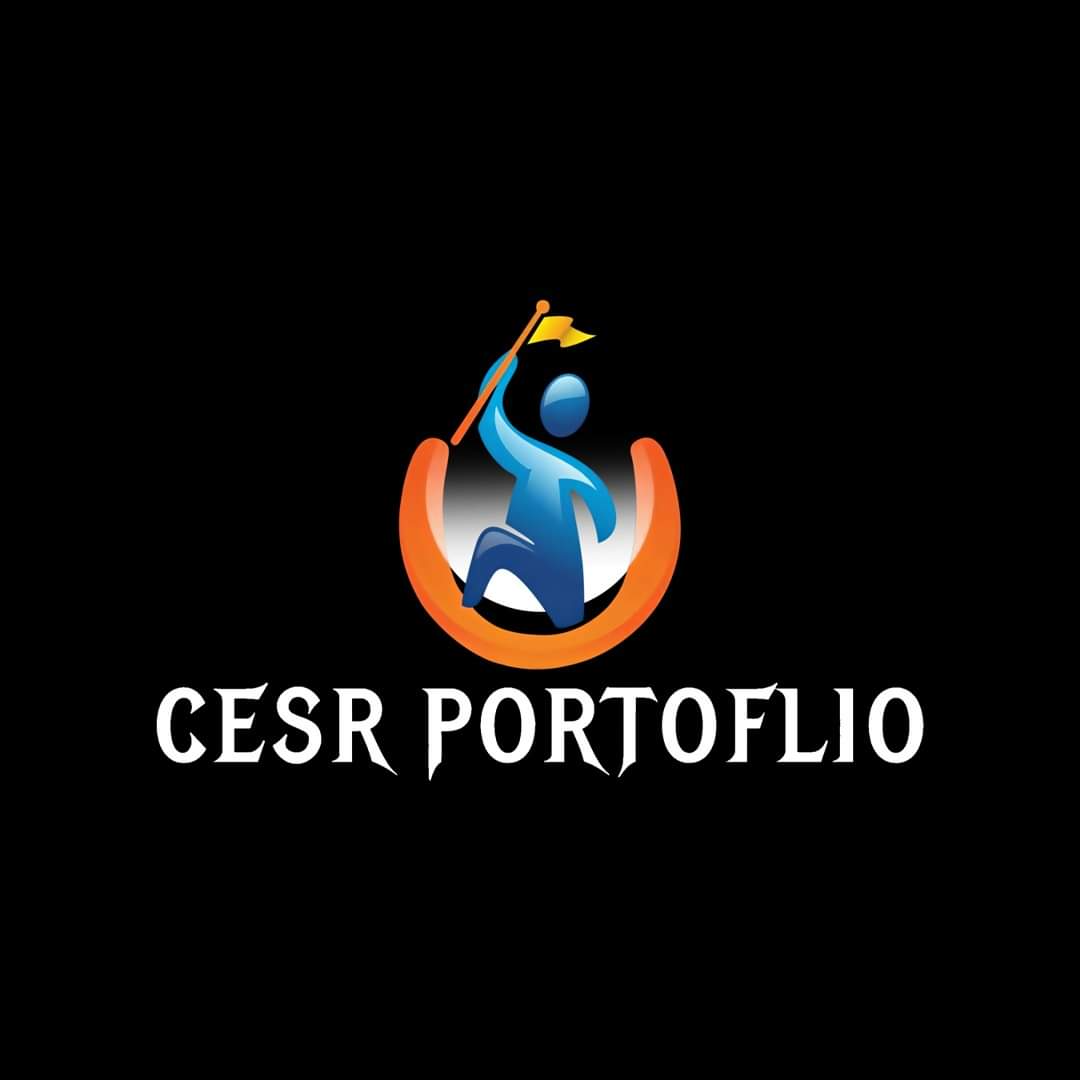 Cesr portfolio pathway