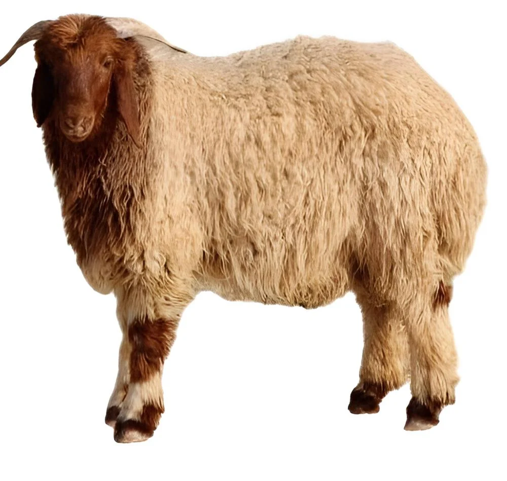 1752306197548.png