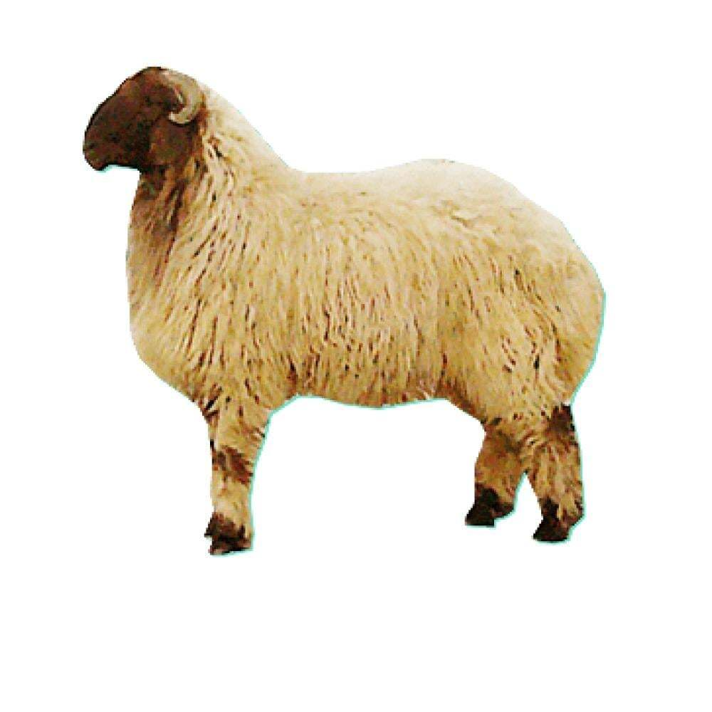 1752655479848.png