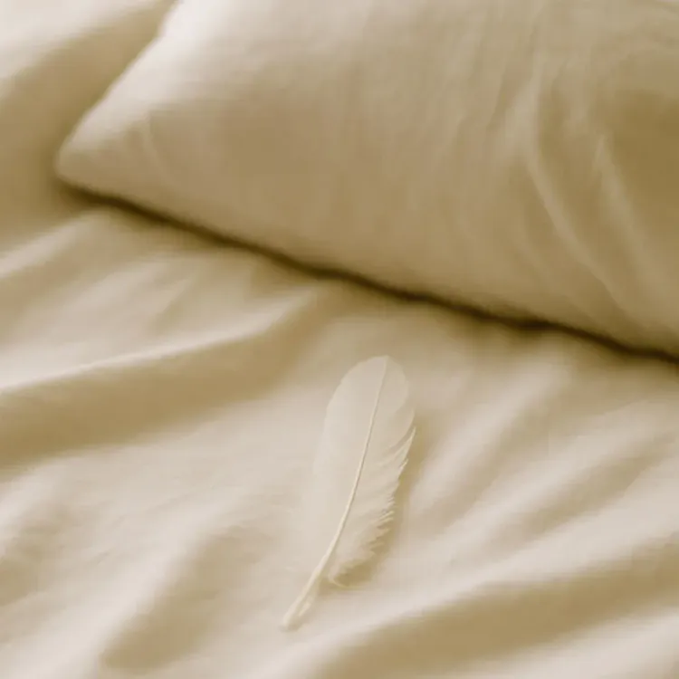 The Spiritual Meaning of Feathers: What Their Appearance Means in Life