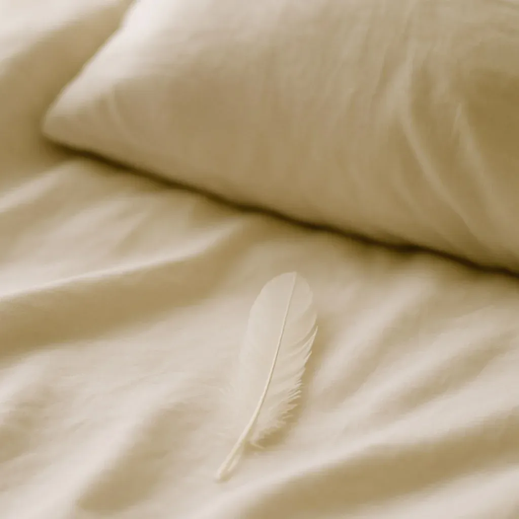 The Spiritual Meaning of Feathers: What Their Appearance Means in Life