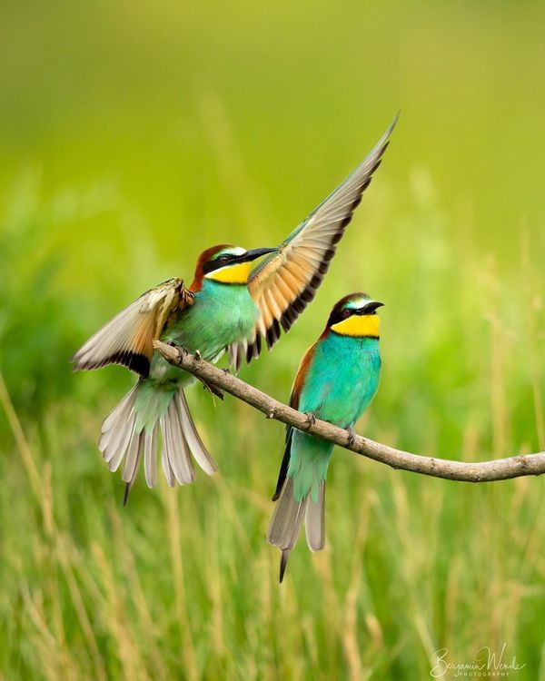 Aquarius with Aries Compatibility: Things To Come In Life & More
