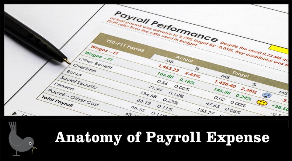 Anatomy of Payroll Expense