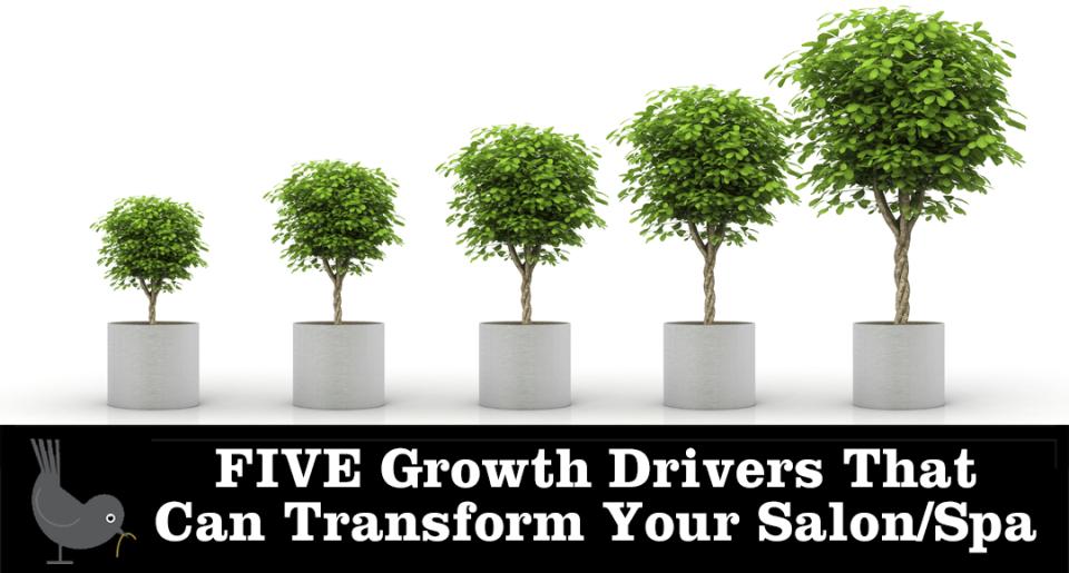 FIVE Growth Drivers That Can Transform Your Salon/Spa