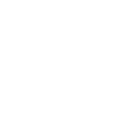 Platform-Native Content