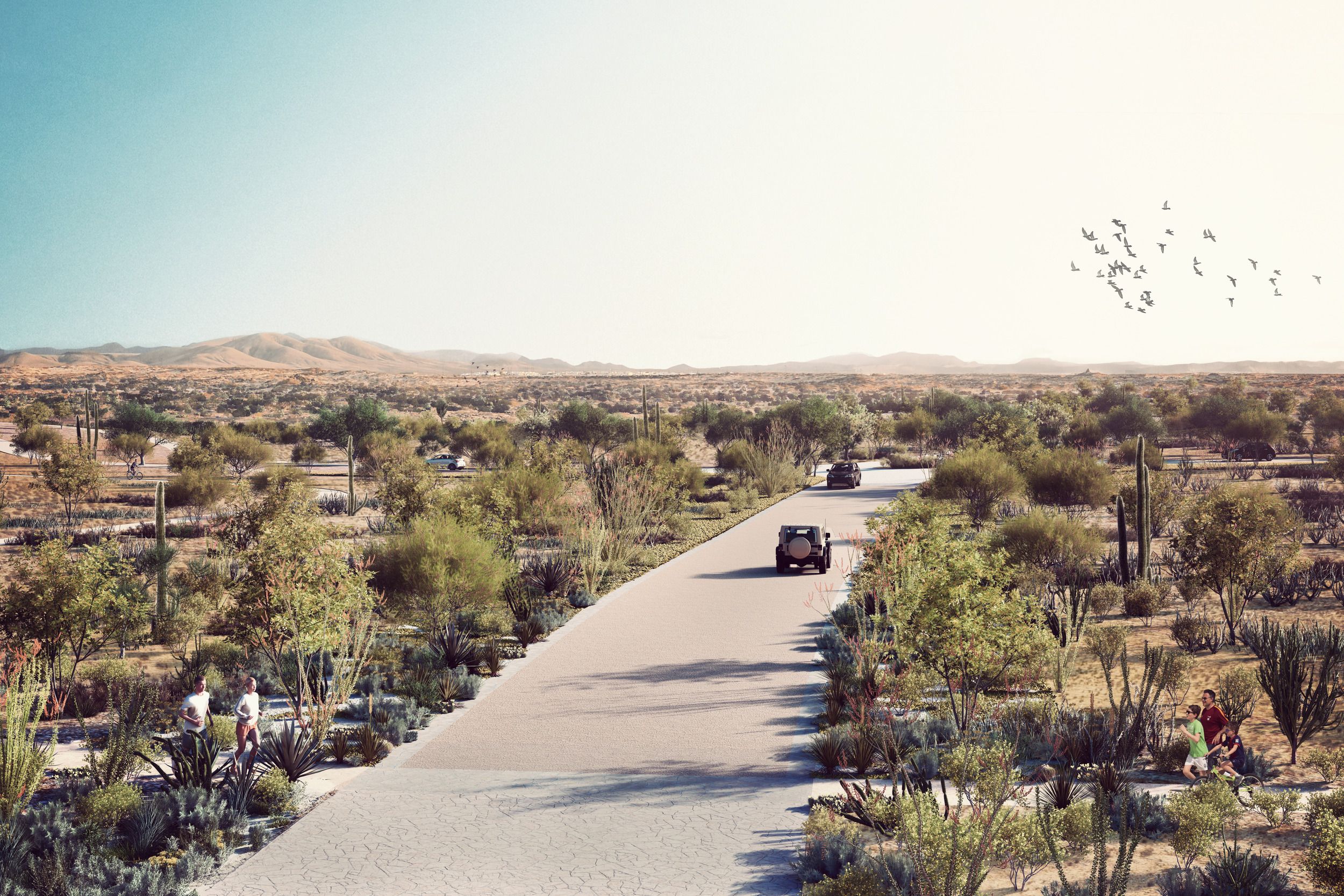 Scenic desert road winding through a Sonoran landscape with native cacti, shrubs, and mountains in the distance.