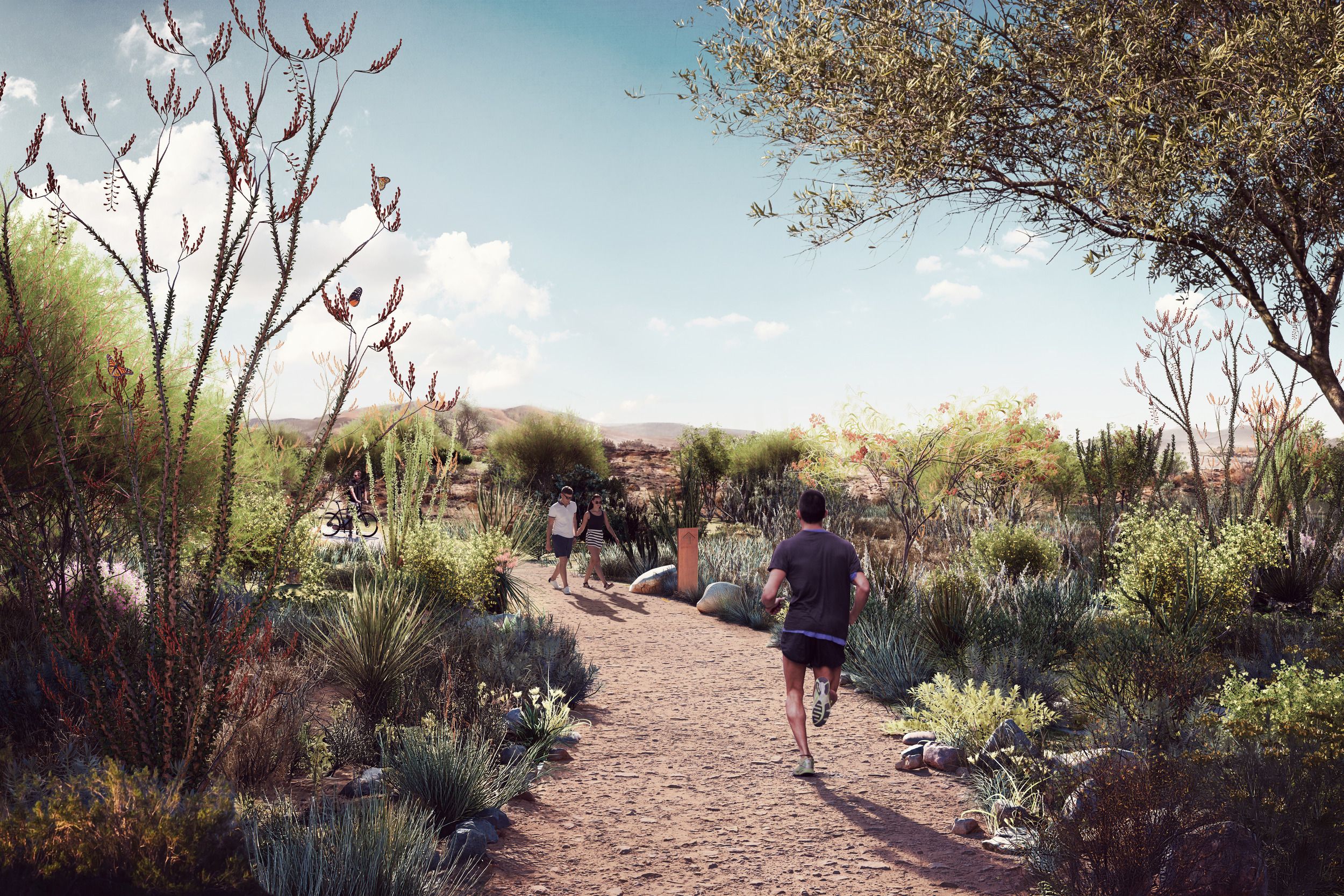 Desert botanical garden trail with visitors enjoying a winding path surrounded by native desert plants and succulents.