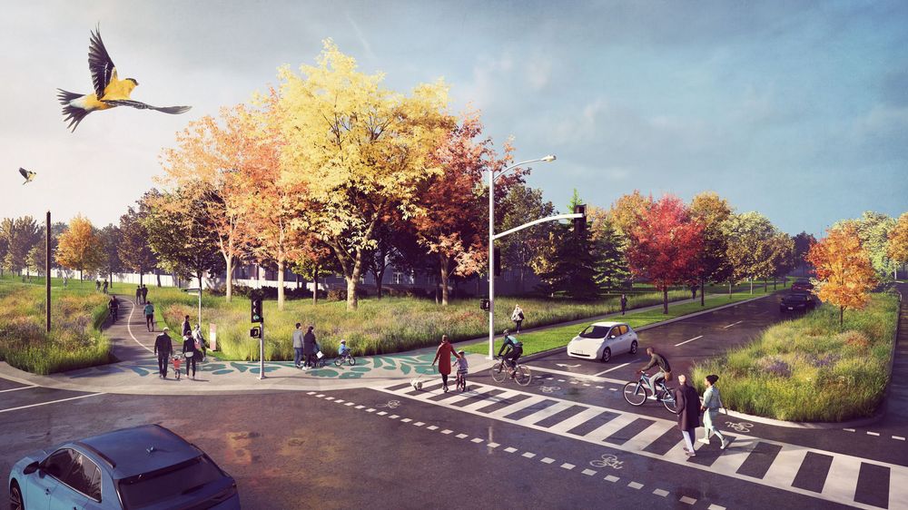 Durham Meadoway Visioning Study