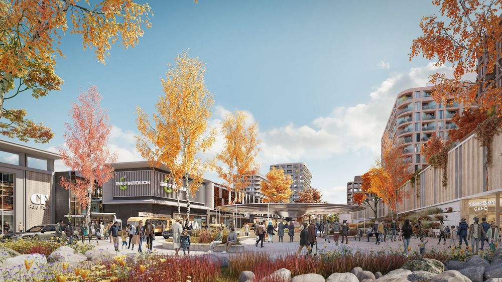 Polo Park Master Plan