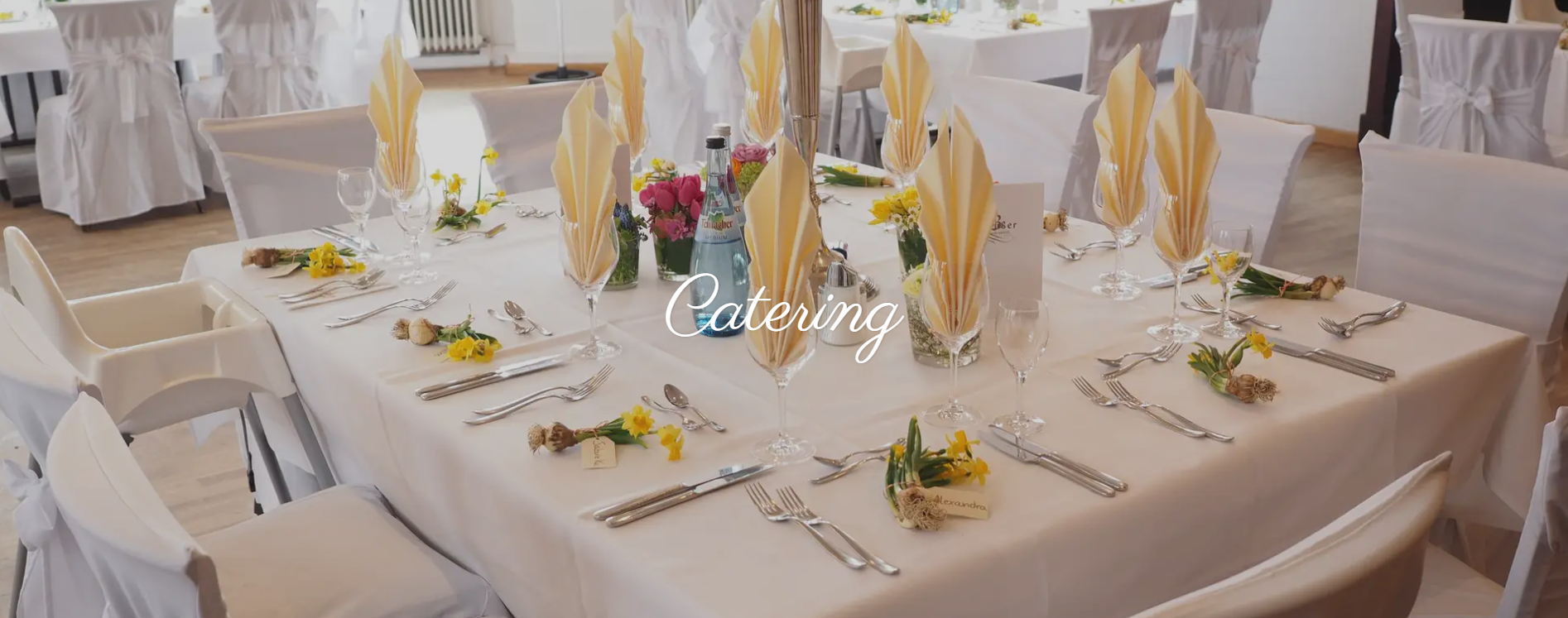 Corporate Catering business-381k profit-repeat clients