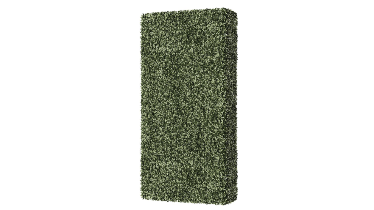 Barnett Boxwood Hedge 8′ x 4′