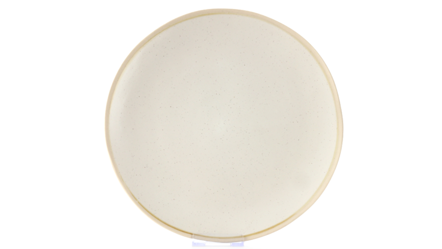 Vine Taupe Dinner Plate 10.5″ (Pack of 10)