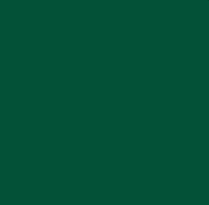 Hunter Polyster Table Runner 12″ x 108″