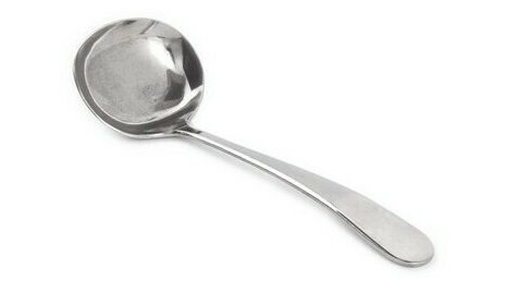 Stainless Gravy Ladle 10″