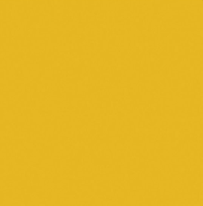 Gold Bengaline Sash for Bow