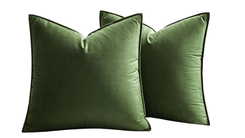Sage Green Velvet Pillow