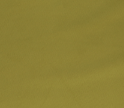 Kiwi Velvet Napkin