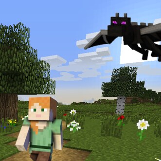 Multiplayer Minecraft: Escape the Ender Dragon