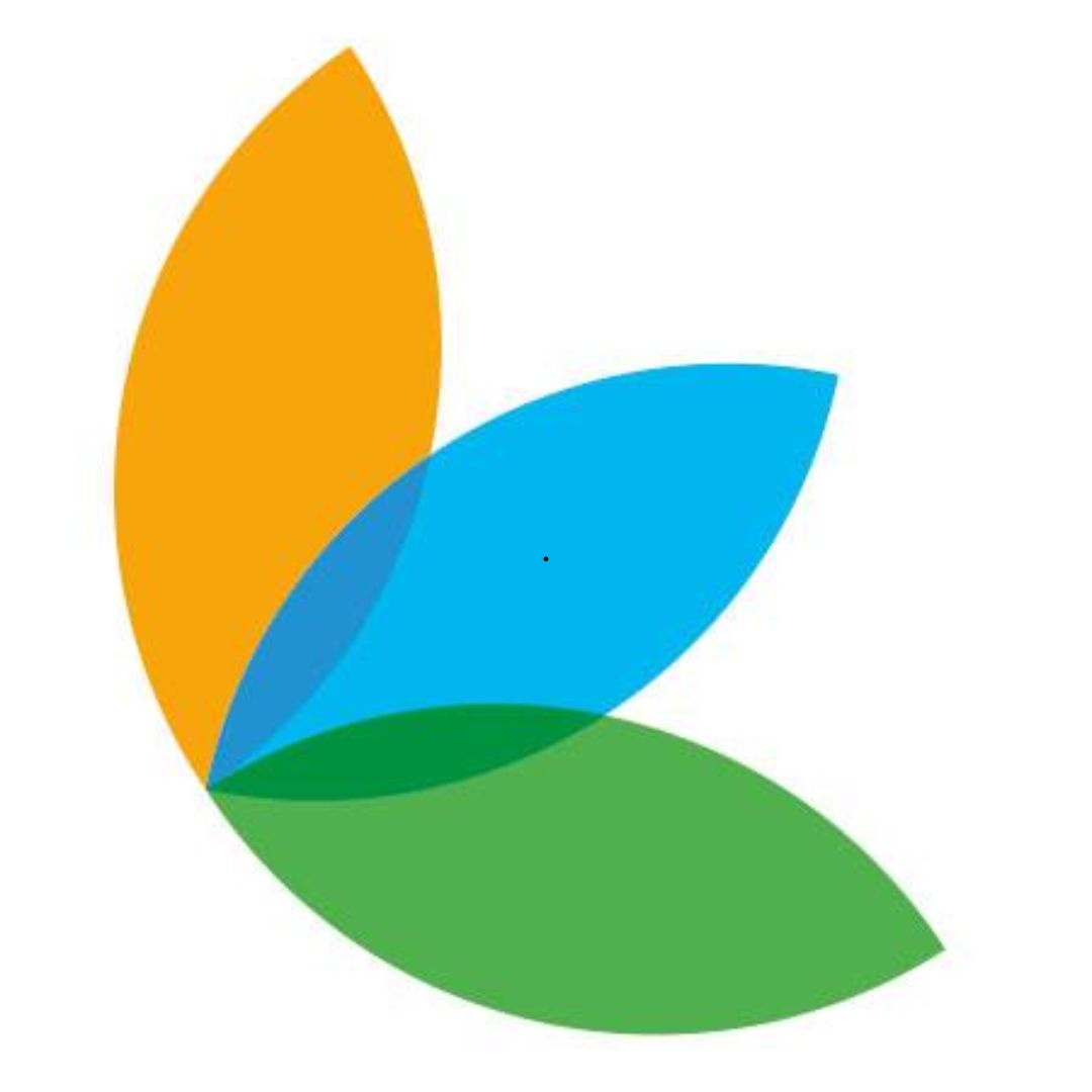 Prowin international