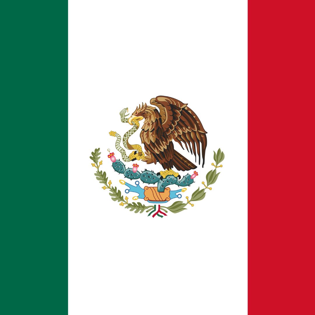 Mexico City Tech Group