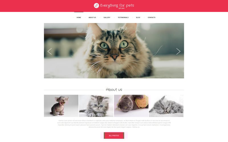 Vet Consulting Drupal Template