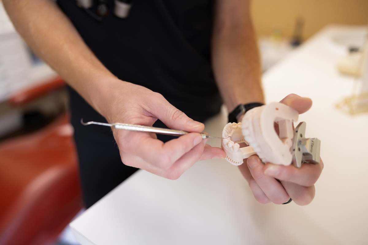 Dentist holding a 3D-printed model of a patient’s lower jaw and demonstrating a dental procedure with a precision dental instrument.