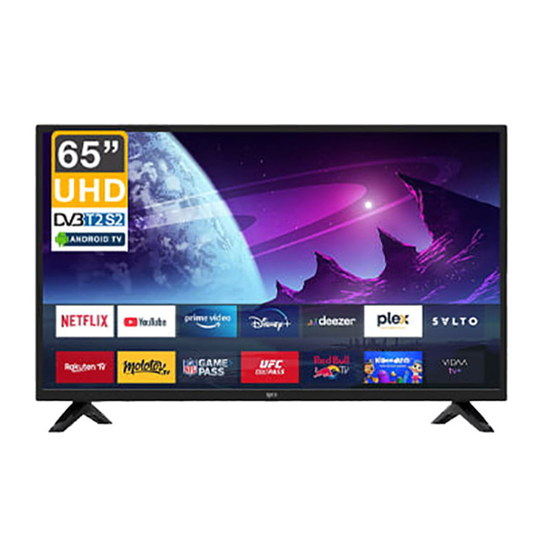Roch 65 Inch Smart LED TV - RH-LE55DAB