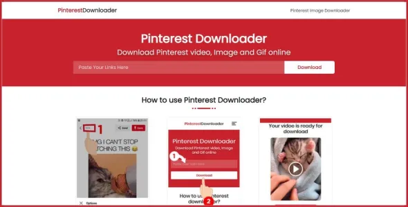 Pinterest Video Downloader